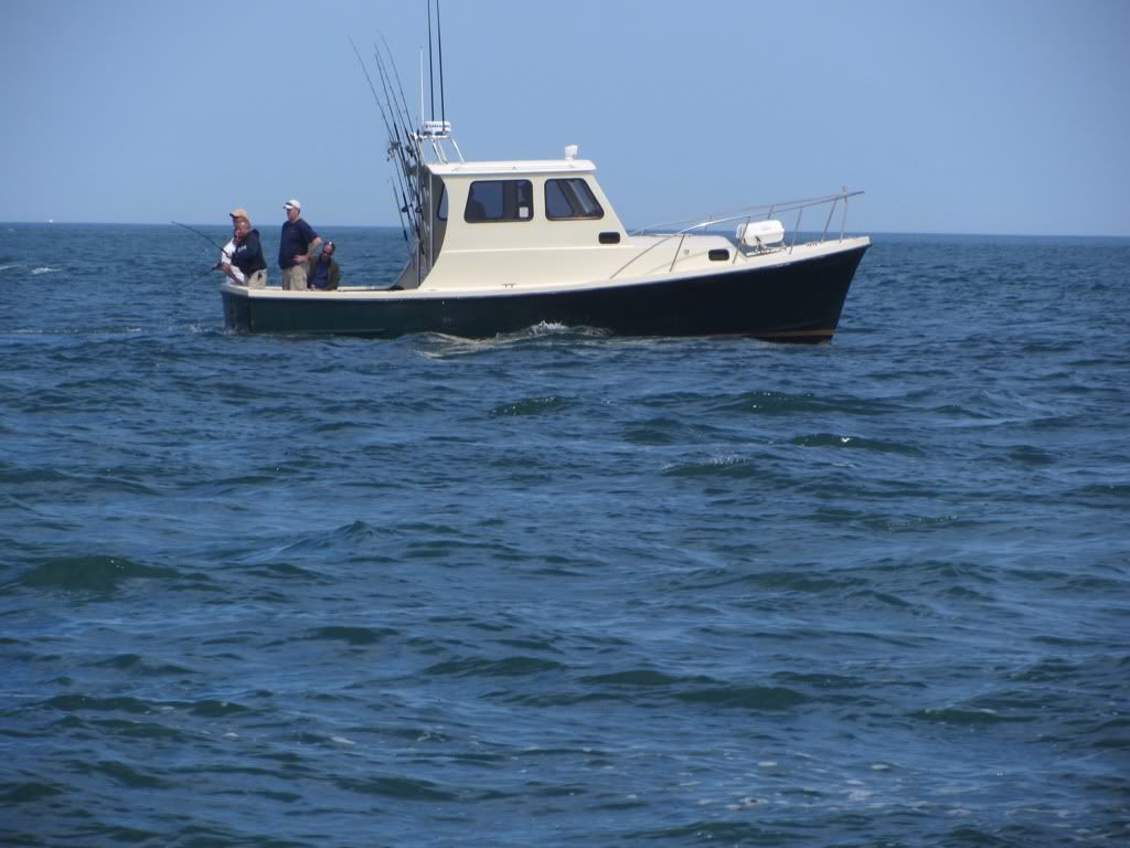 31 ft twin diesel JC tuna/charter The Hull Truth Boating and