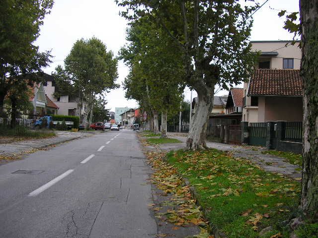 Ulica Jarun, studeni 2012.