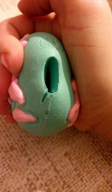 12167894_939402806131866_943057878_n_zps