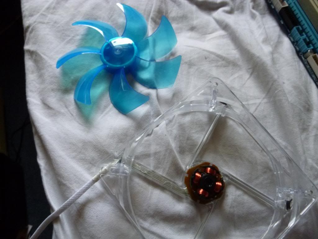 P1000543_zpsc32c971b.jpg