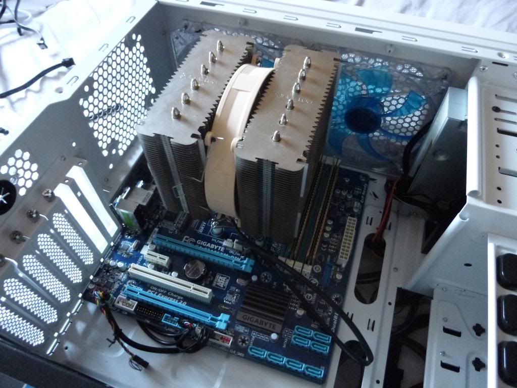 P1000555_zpsfefcae2f.jpg