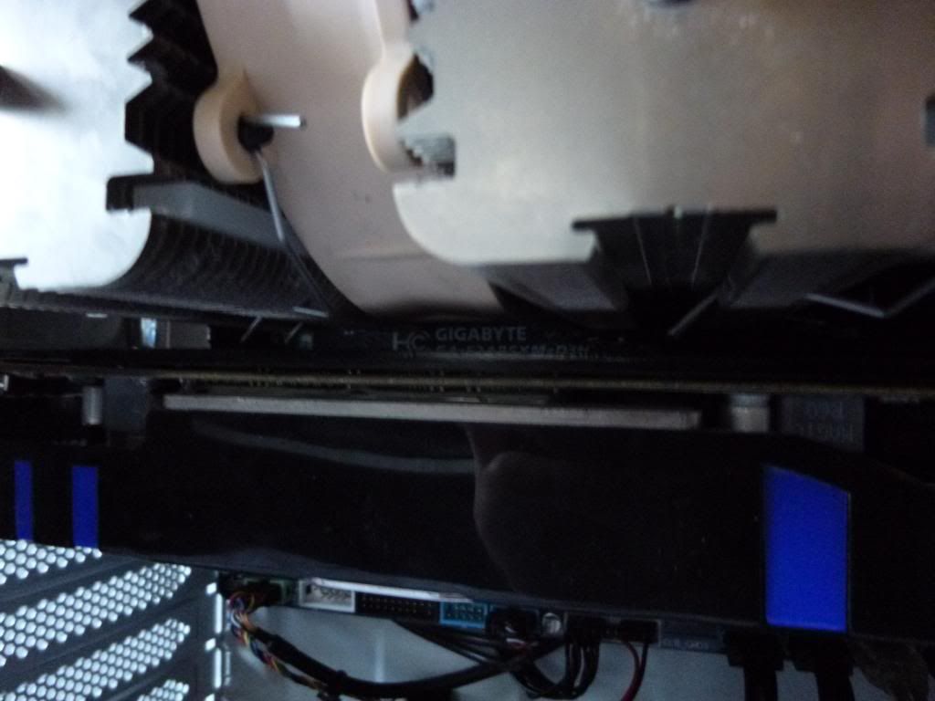 P1000563_zpscf42de0b.jpg