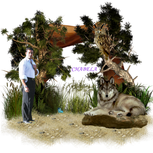  photo V7GAvwtEjbRg_zpsqhsvefic.png