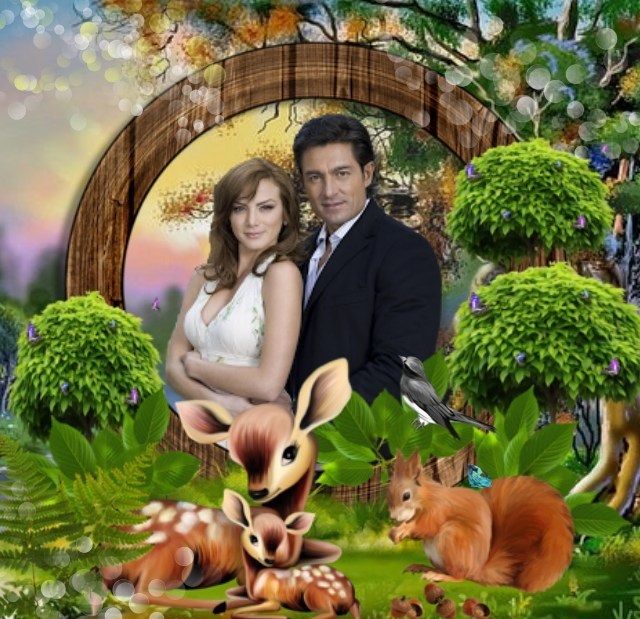  photo Der Wald - 1PyVx-1bm - normal_zpss6zudeg4.jpg