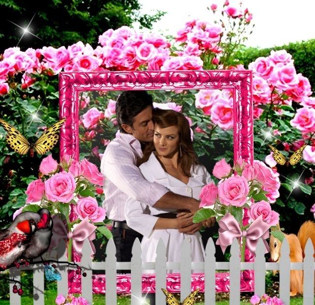  photo Pink roses - 1PyVx-1bb - normal_zpswiwhowzu.jpg