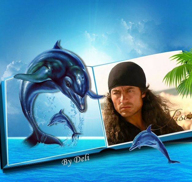photo Dolphins - 1PyVx-18z - normal_zpsnrrzi5lp.jpg