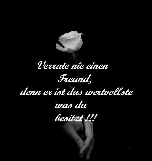  photo FreundRose_zpsa284a6fa.png
